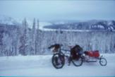 Am Yukon in Alaska, winter 2005
